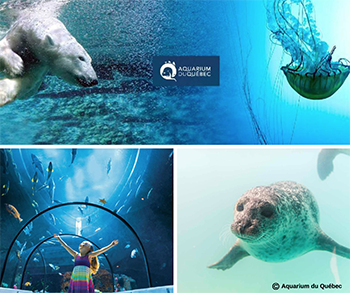 Aquarium du Québec